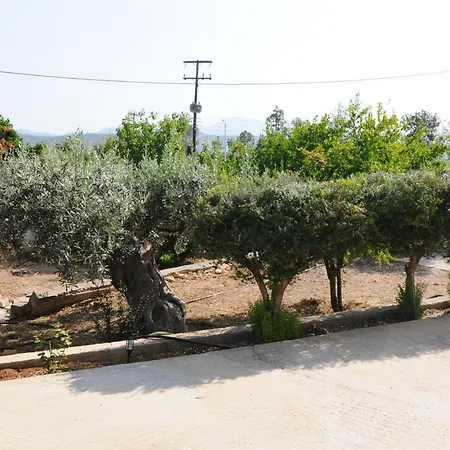 بيت للعطل The Byzantine House *