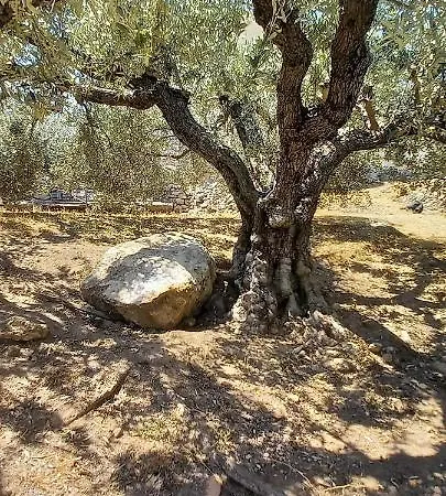 The Byzantine House Ferienhaus *