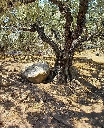 The Byzantine House Holiday home *